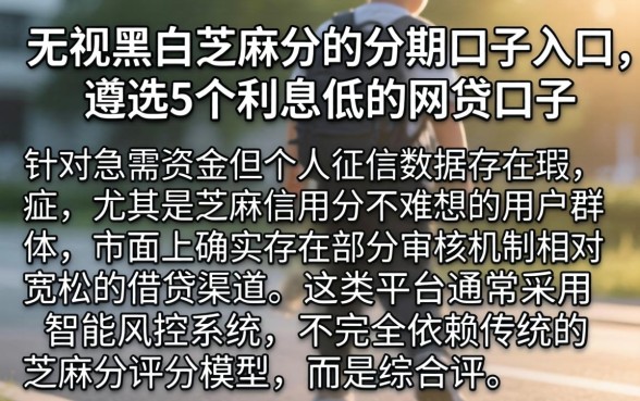 无视黑白芝麻分的分期口子入口，遴选5个利息低的网贷口子