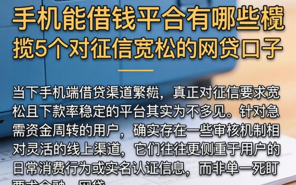 手机能借钱的平台有哪些，概览5个对征信宽松的网贷口子