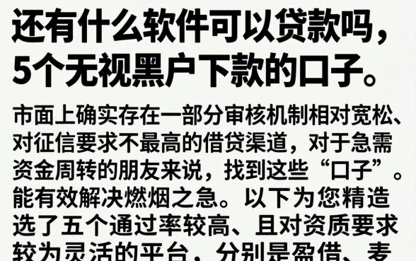 还有什么软件可以贷款吗,条列5个无视黑户下款的口子