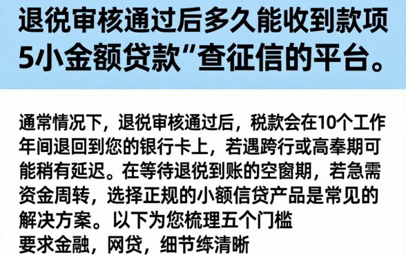 退税审核通过后多久能收到款项，枚举5个小额贷款不查征信的平台