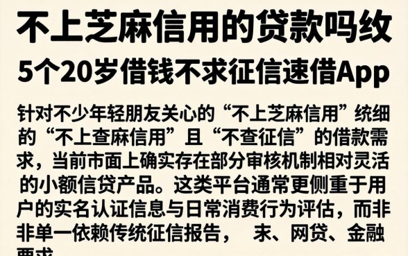 不上芝麻信用的贷款吗，细致阐述5个20岁借钱不求征信速借app