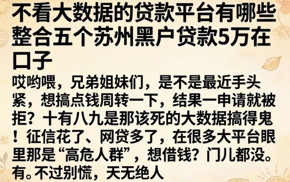 不看大数据的贷款平台有哪些，整合五个苏州黑户贷款5万的口子