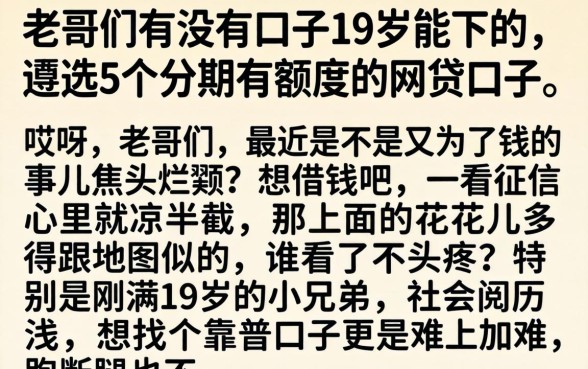 老哥们有没有口子19岁能下的，遴选5个分期有额度的网贷口子