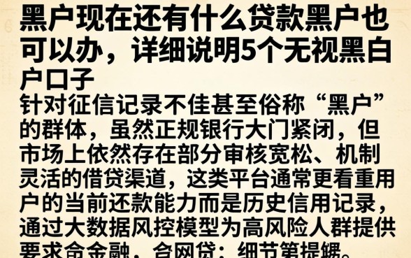 黑户现在还有什么贷款黑户也可以办，详尽说明5个无视黑白户口子