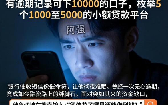 有逾期记录可下10000的口子，枚举5个1000至5000的小额贷款平台