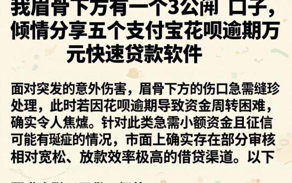 我眉骨下方有一个3公分的口子，倾情分享五个支付宝花呗逾期万元快速贷款软件