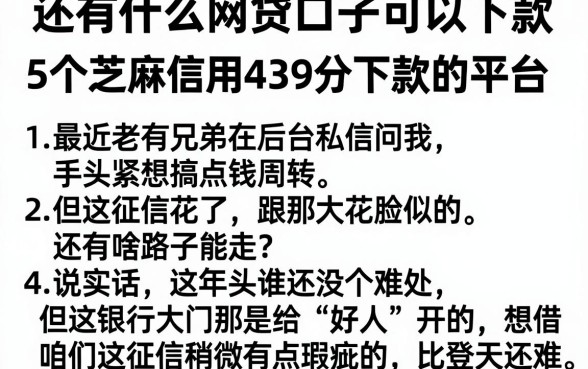 还有什么网贷口子可以下款，胪列5个芝麻信用439分下款的平台