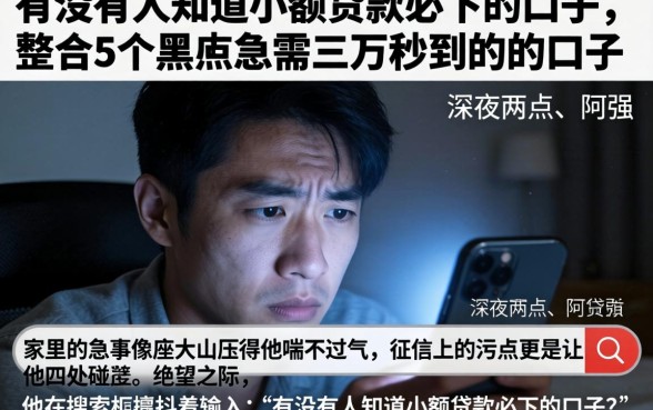 有没有人知道小额贷款必下的口子,整合5个黑户急需三万秒到的的口子