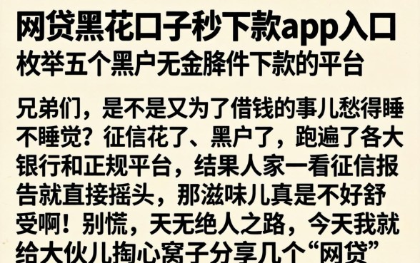 网贷黑花口子秒下款app入口，枚举五个黑户无条件下款的平台