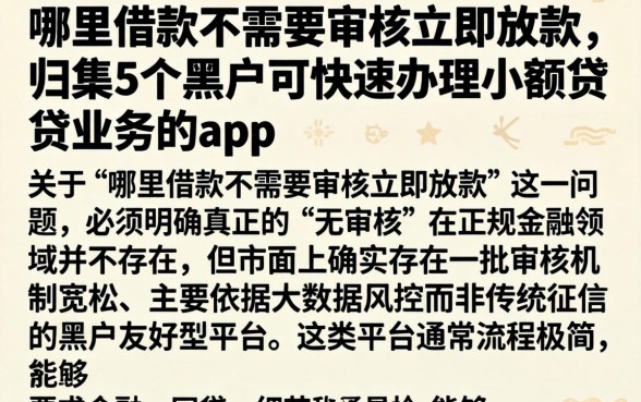 哪里借款不需要审核立即放款，归集5个黑户可快速办理小额贷款业务的app