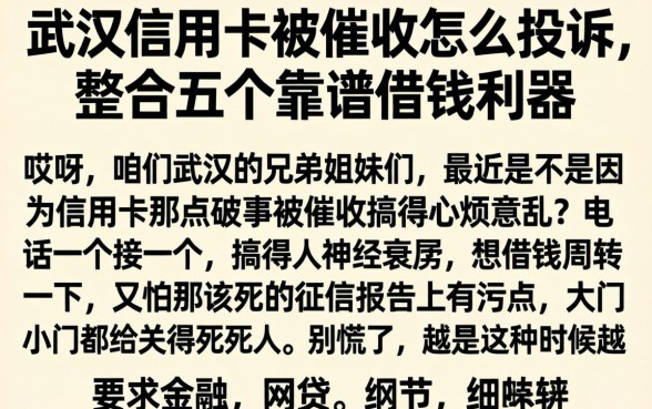 武汉信用卡被催收怎么投诉，整合五个靠谱借钱利器