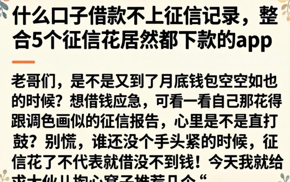 什么口子借款不上征信记录，整合5个征信花居然都下款的app