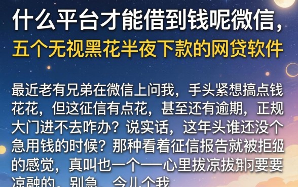 什么平台才能借到钱呢微信，详尽说明五个无视黑花半夜下款的网贷软件
