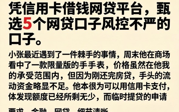 凭信用卡借钱的网贷平台，甄选5个网贷口子风控不严的口子