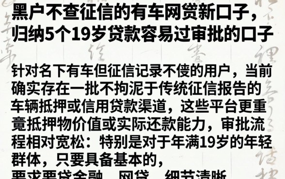 黑户不查征信的有车网贷新口子，归纳5个19岁贷款容易过审批的口子