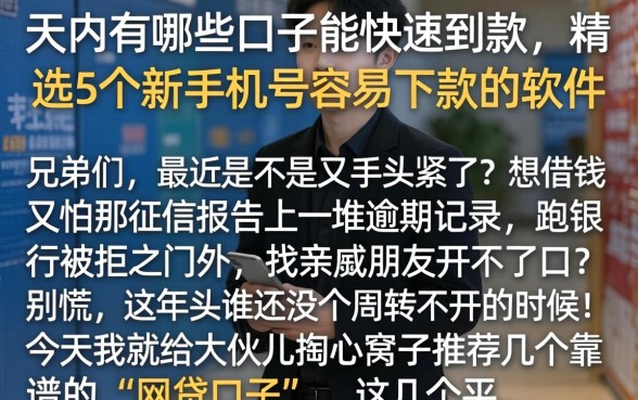 天内有哪些口子能快速到款,精选5个新手机号容易下款的软件