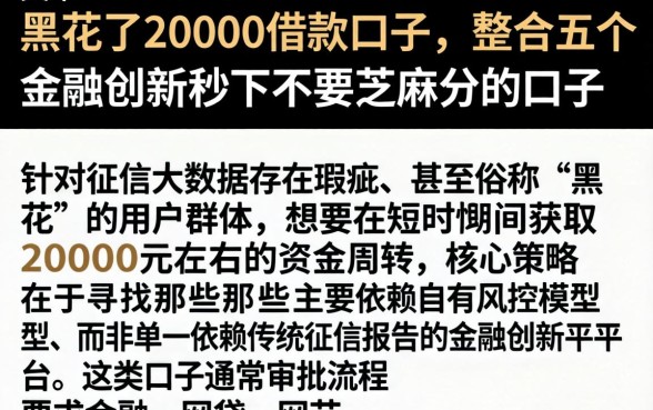 黑花了20000借款口子，整合五个金融创新秒下不要芝麻分的口子