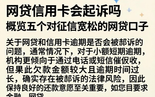 网贷信用卡会起诉吗，概览五个对征信宽松的网贷口子