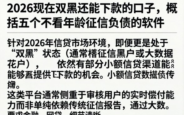 2026现在双黑还能下款的口子，概括五个不看年龄征信负债的软件