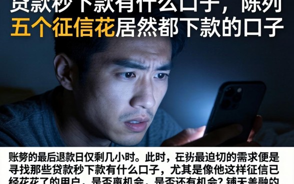贷款秒下款有什么口子，陈列五个征信花居然都下款的口子