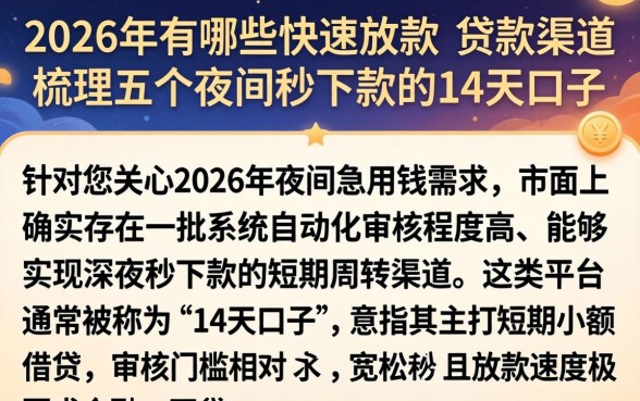 2026年有哪些快速放款的贷款渠道，梳理五个夜间秒下款的14天口子