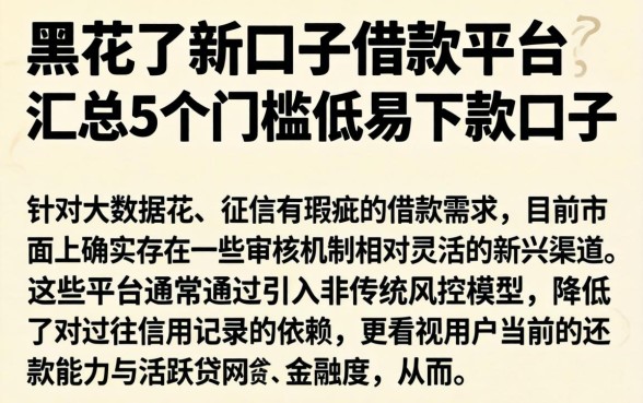 黑花了新口子借款平台，汇总5个门槛低易下款口子