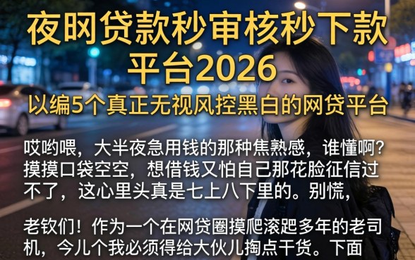 夜间贷款秒审核秒下款 的平台2026，归纳5个真正无视风控黑白的网贷平台