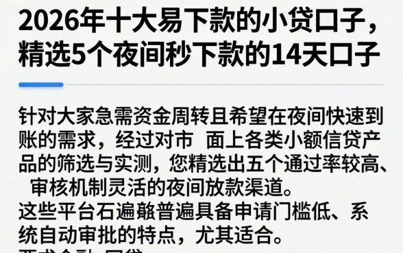 2026年十大易下款的小贷口子，精选5个夜间秒下款的14天口子