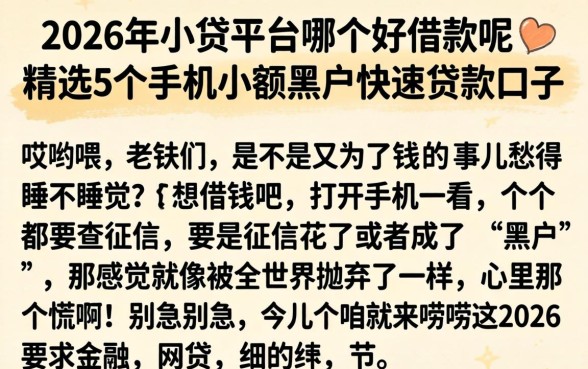2026年小贷平台哪个好借款呢，精选5个手机小额黑户快速贷款口子