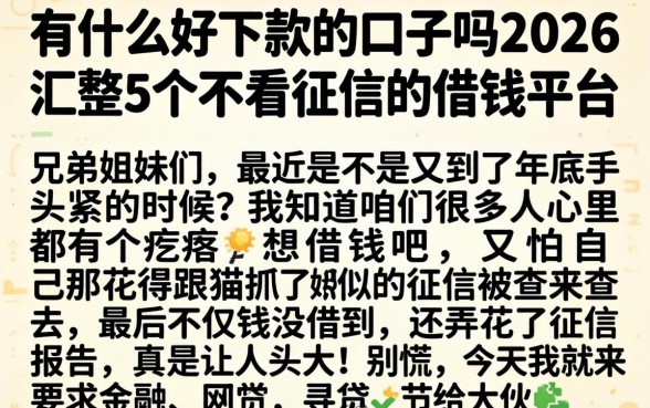 有什么好下款的口子吗2026，汇整5个不看征信的借钱平台