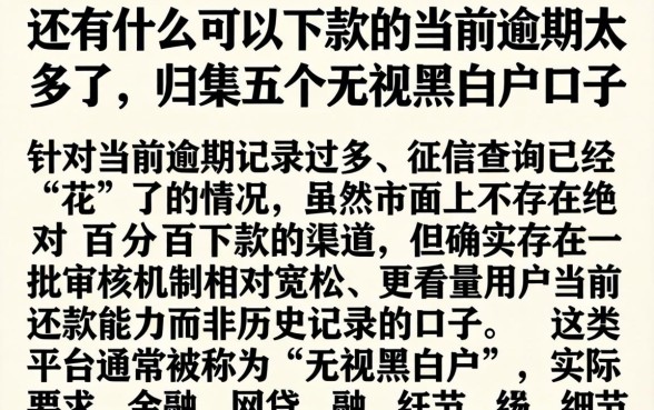 还有什么可以下款的当前逾期太多了，归集五个无视黑白户口子
