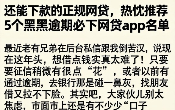 还能下款的正规网贷，热忱推荐5个黑户逾期必下网贷app名单