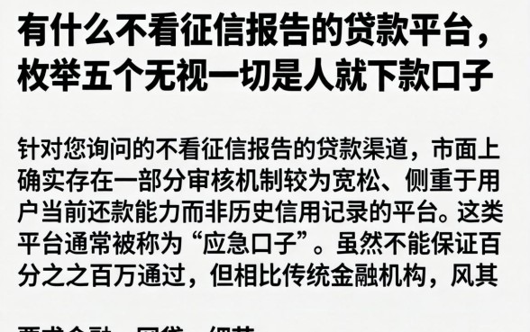 有什么不看征信报告的贷款平台,枚举五个无视一切是人就下款口子