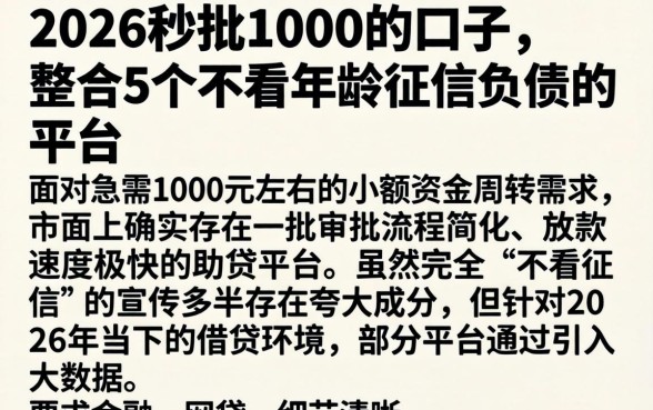 2026秒批1000的口子，整合5个不看年龄征信负债的平台