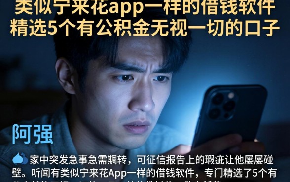 类似宁来花app一样的借钱软件，精选5个有公积金无视一切的口子