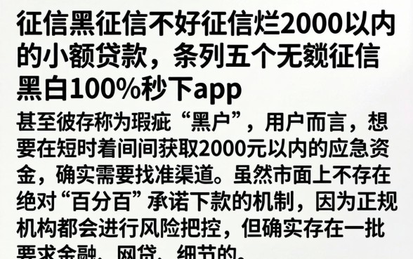 征信黑征信不好征信烂2000以内的小额贷款，条列五个无视征信黑白100%秒下app