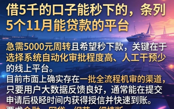 借5千的口子能秒下的，条列5个11月能贷款的平台