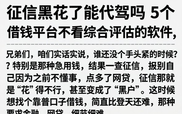 征信黑花了能代驾吗,详细阐述5个借钱平台不看综合评估的软件