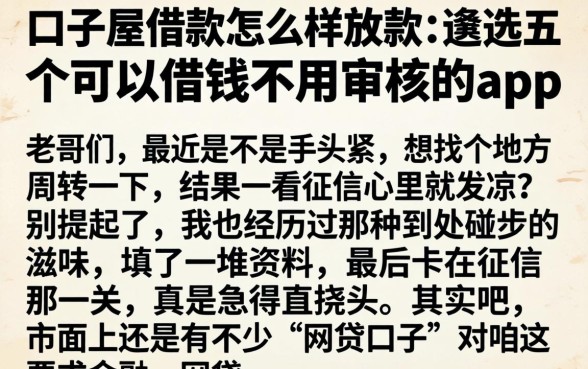 口子屋借款怎么样放款，遴选五个可以借钱不用审核的app