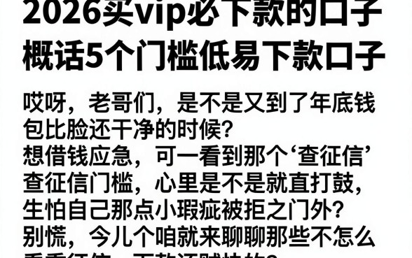2026买vip必下款的口子,概括5个门槛低易下款口子
