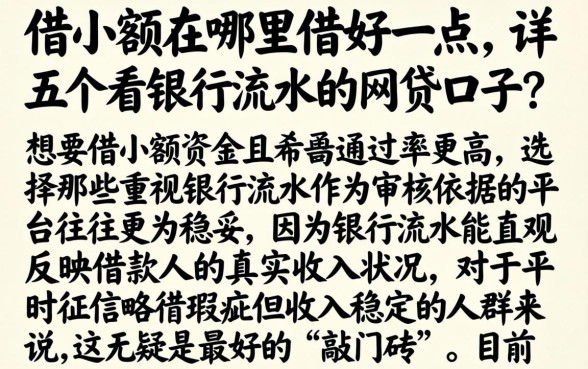 借小额在哪里借好一点，详尽说明五个看银行流水的网贷口子