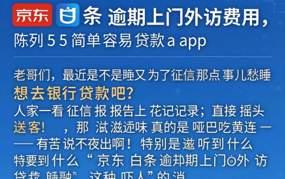 京东白条逾期上门外访费用，陈列5个简单容易贷款app