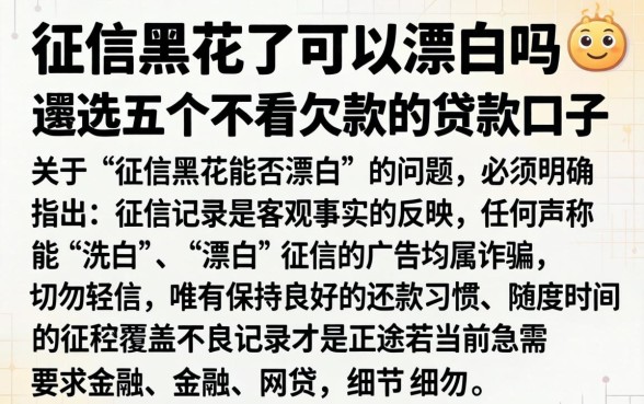 征信黑花了可以漂白吗，遴选五个不看欠款的贷款口子