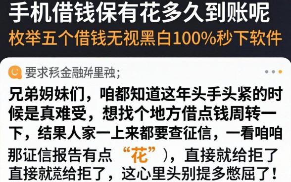 手机借钱保有花多久到账呢，枚举五个借钱无视黑白100%秒下软件