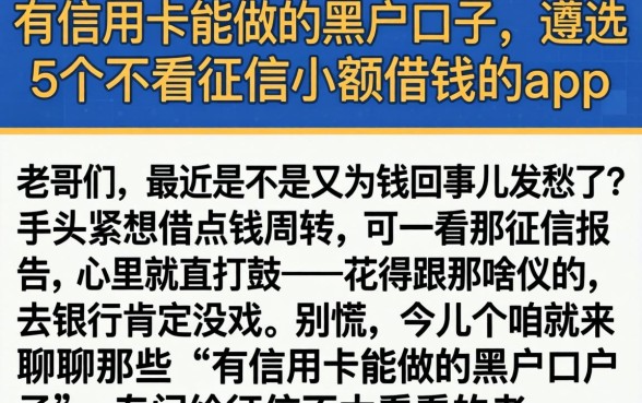 有信用卡能做的黑户口子，遴选5个不看征信小额借钱的app