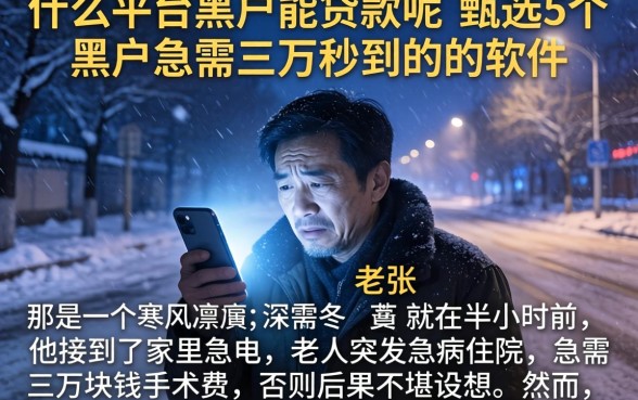 什么平台黑户能贷款呢,甄选5个黑户急需三万秒到的的软件