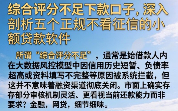 综合评分不足下款的口子，深入剖析五个正规不看征信的小额贷款软件