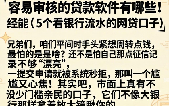 容易审核的贷款软件有哪些，细致阐述5个看银行流水的网贷口子