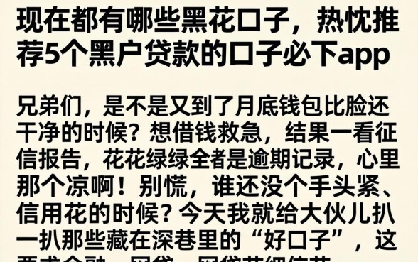 现在都有哪些黑花口子，热忱推荐5个黑户贷款的口子必下app
