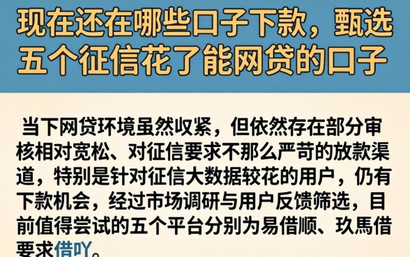 现在还在哪些口子下款,甄选五个征信花了能网贷的口子